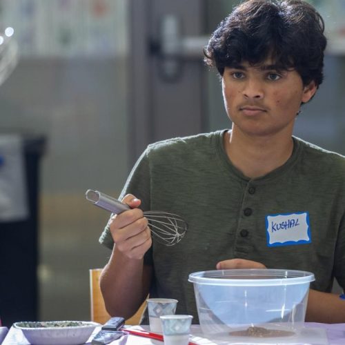 The Effective Guide to Healthy Food for Beginners